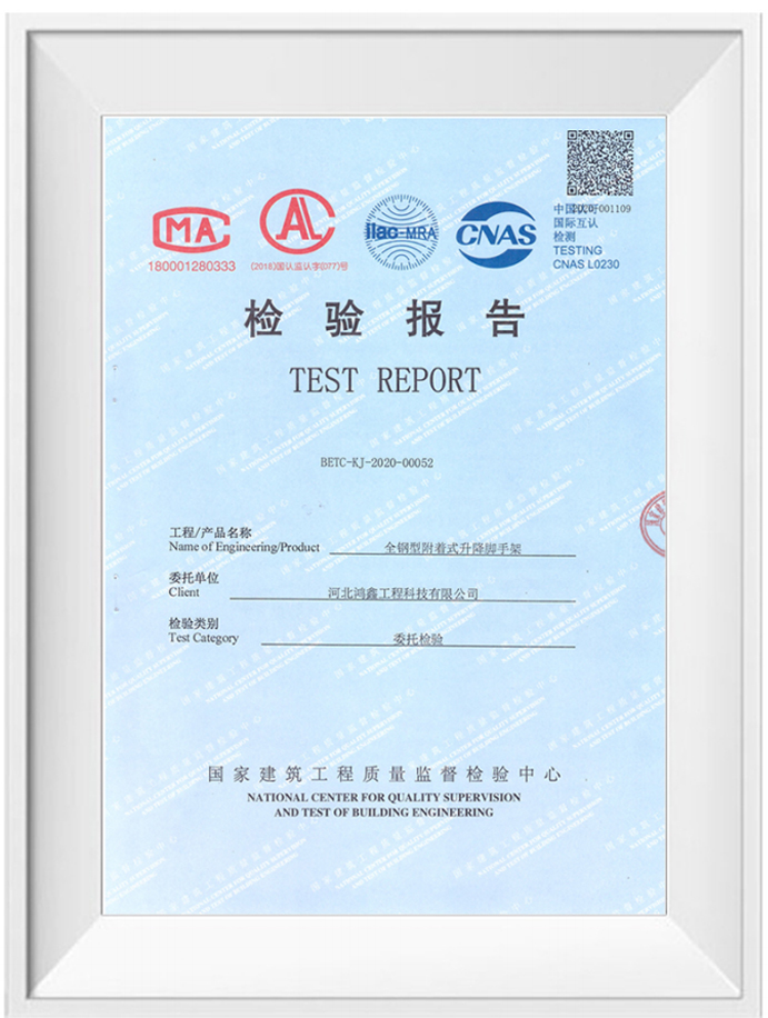 科技查新报告(图1)