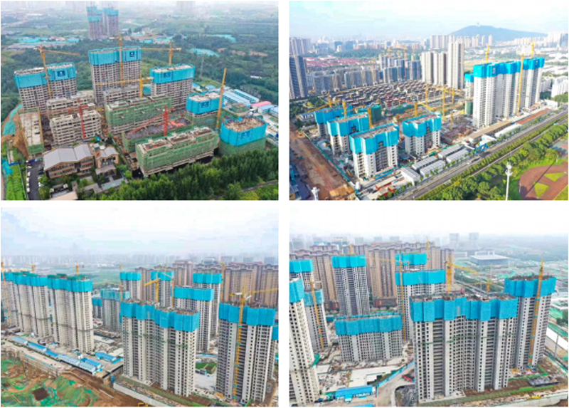 案例展示一(图1)